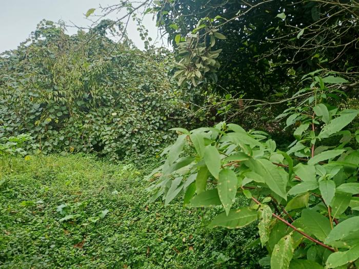 Se vende casa con terreno en Puebla