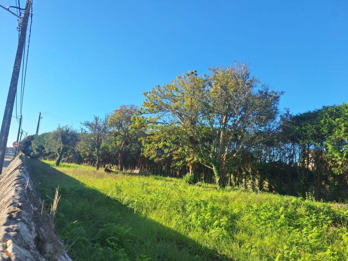 Se vende casa de piedra con amplio terreno en Xuño