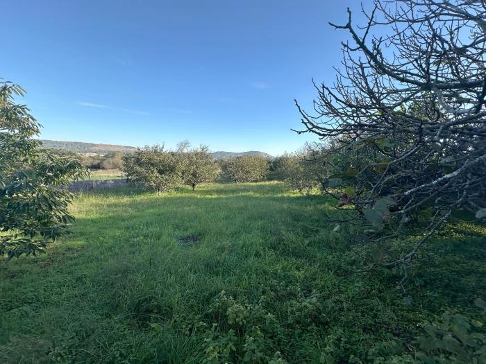 Se vende casa con terreno en Olveira