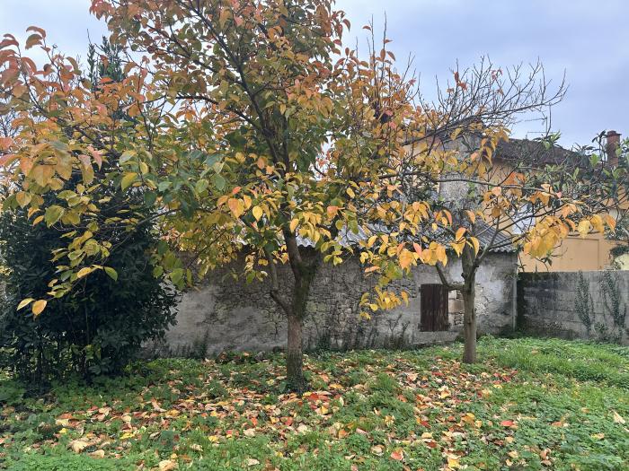 Se vende terreno con galpón de piedra para restaurar