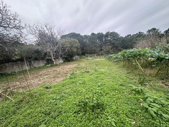 Se vende terreno con galpón de piedra para restaurar