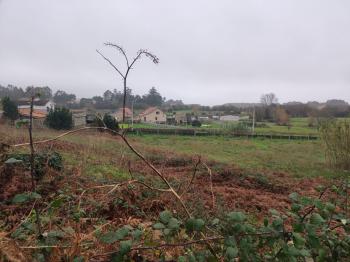 Se vende finca edificable en Olveira