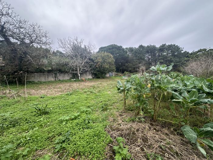 Se vende terreno con galpón de piedra para restaurar