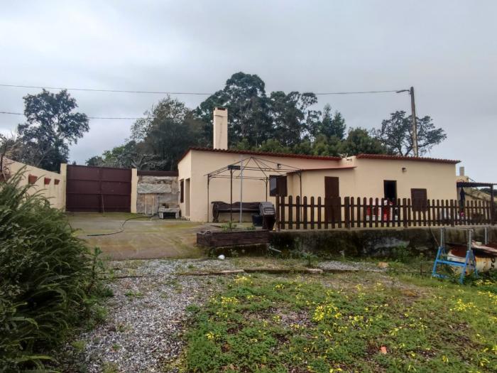Se vende terreno con frutales en Palmeira